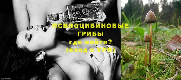 а пвп мука Абаза