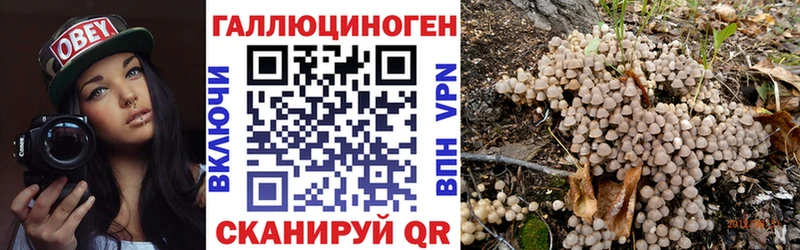 ссылка на мегу ТОР  Задонск  Галлюциногенные грибы GOLDEN TEACHER  купить наркотик 
